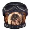 Kissen - Biker Bulldog